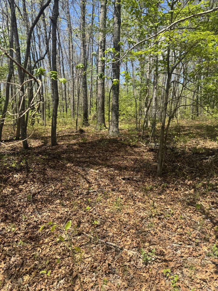 Property Photo:  0 Doe Creek Lake Dr  TN 38583 