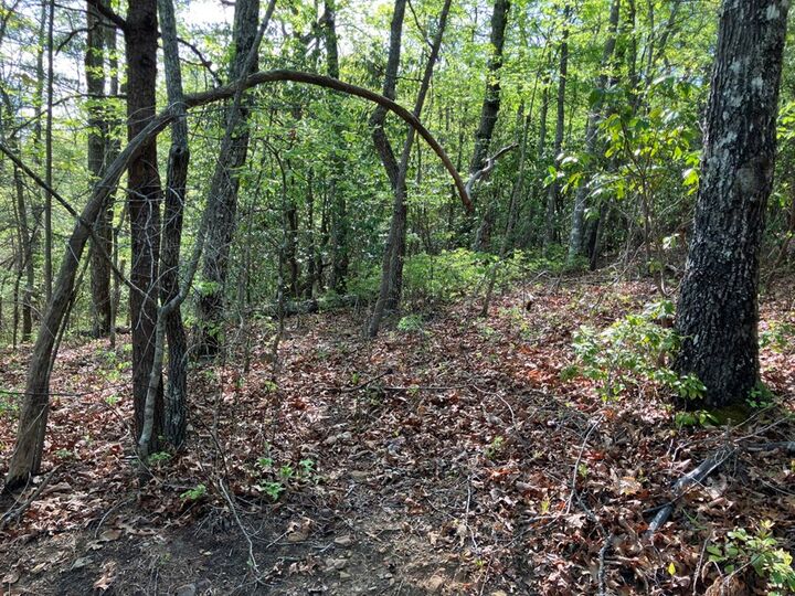 Property Photo: Lt24 Mission Ridge Court NC 28904