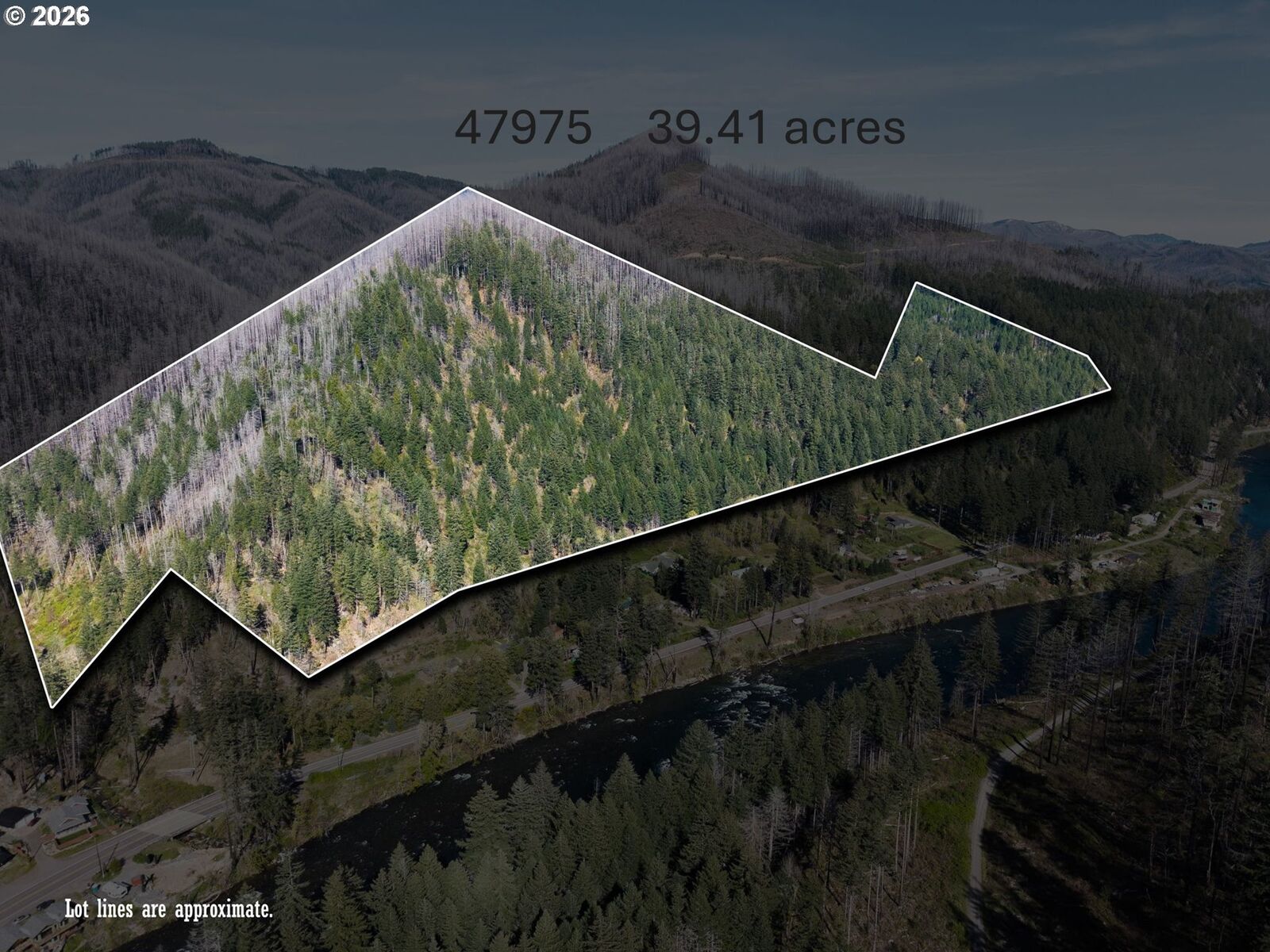 Property Photo:  47975 87 McKenzie Hwy  OR 97488 