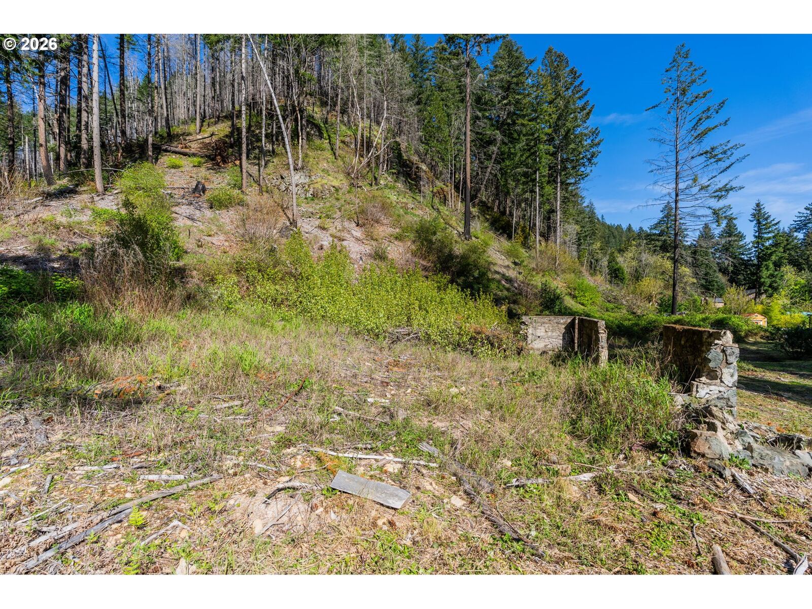 Property Photo:  47975 87 McKenzie Hwy  OR 97488 