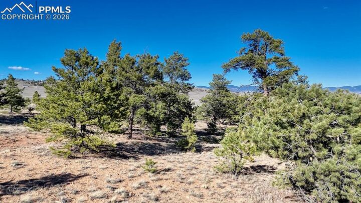 Property Photo:  Lot 5103 Anasazi Road  CO 80449 
