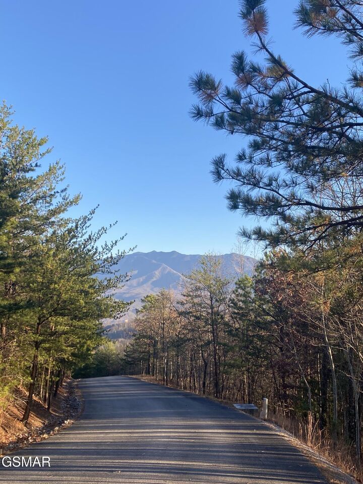 Property Photo:  D7 Lightning Bug Way  TN 37738 