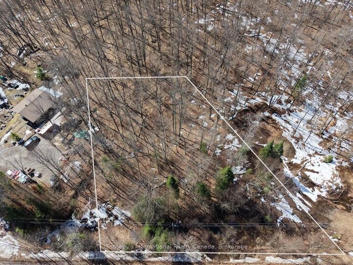 0 Mink Lot 17 Road — photo 1