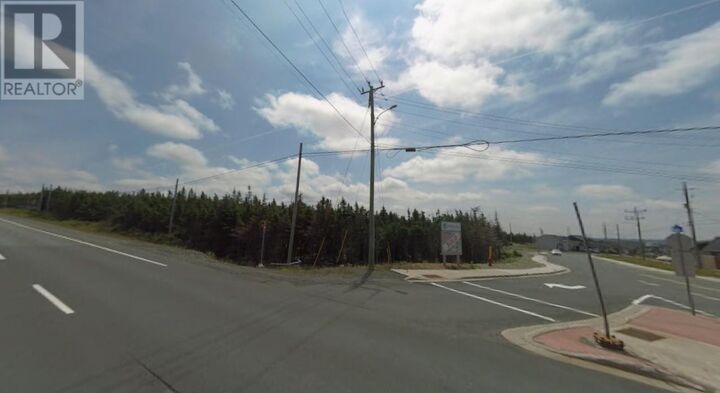 0000 Brant — photo 1