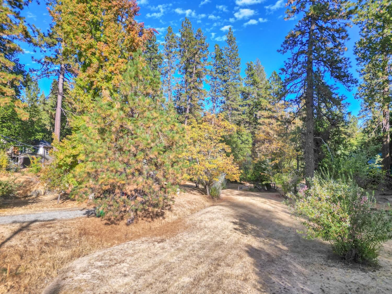 Property Photo:  728 Old Washington Road  CA 95959 