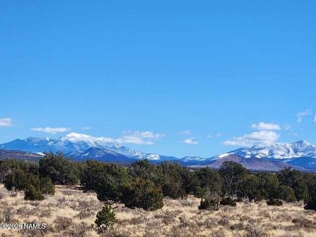 Property Photo:  1282 Watchtower  AZ 86046 