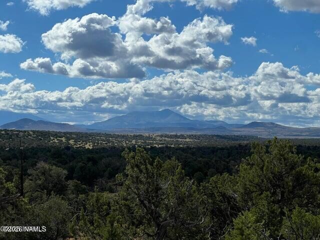 Property Photo:  1282 Watchtower  AZ 86046 