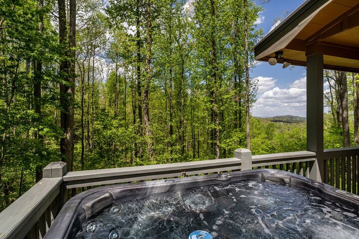 Property Photo:  431 Little Bushy Head Road  GA 30513 