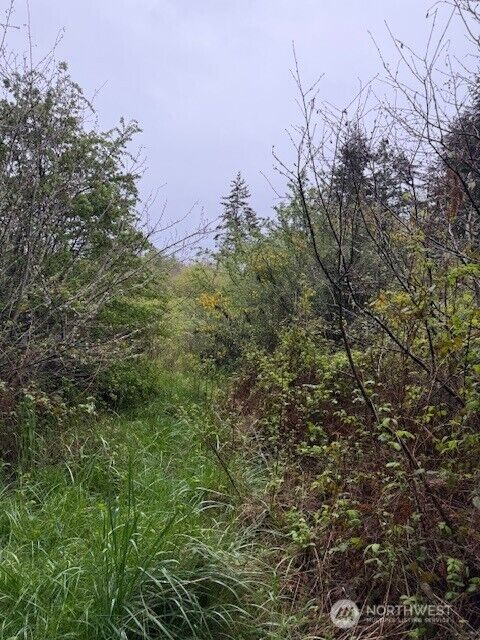 Property Photo:  5 Nka  30th Street  WA 98368 