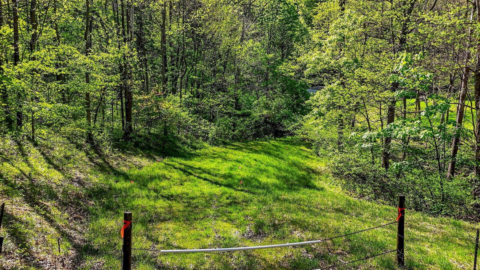 Property Photo:  15955 Fossil Rock Road  OH 45701 