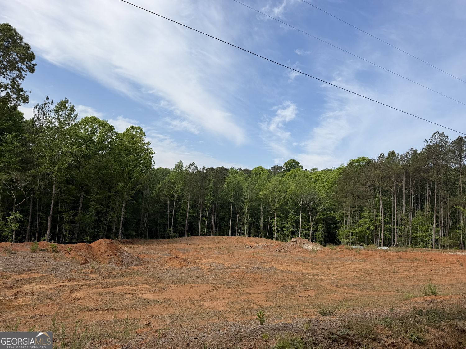 Property Photo:  1518 English Road  GA 31029 