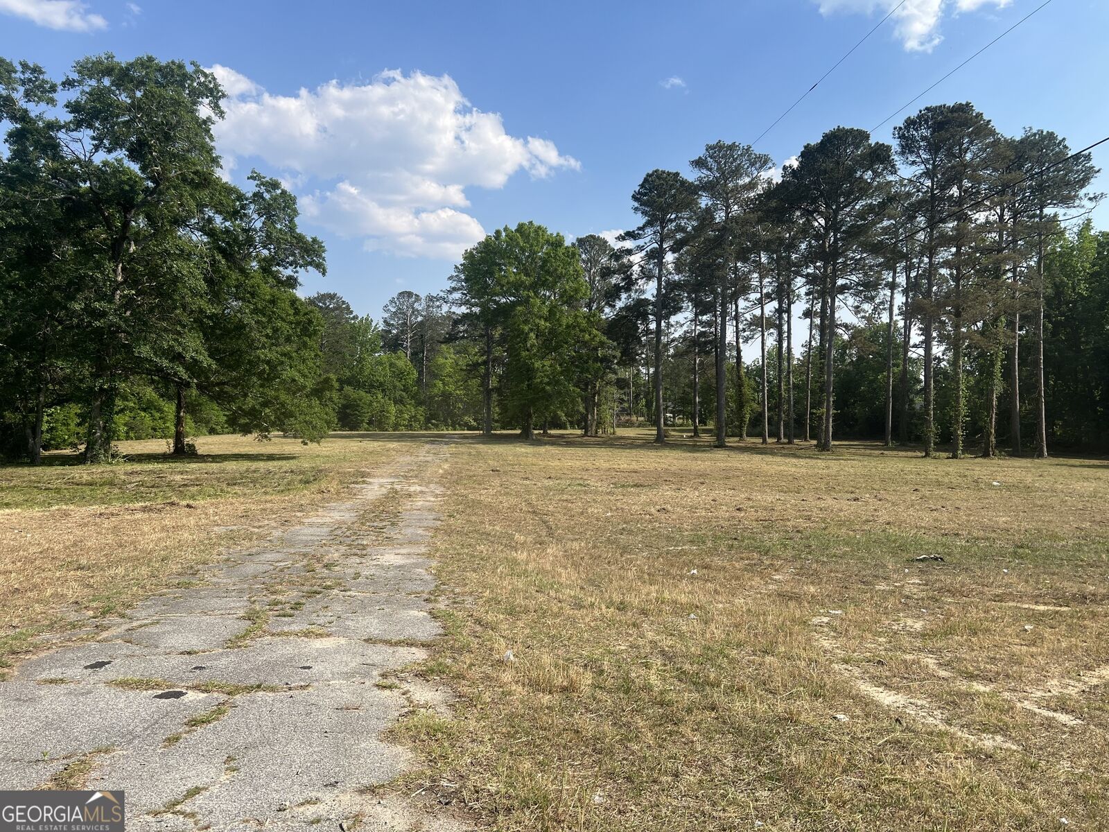 Property Photo:  323 Forrest Clary Drive  GA 30824 