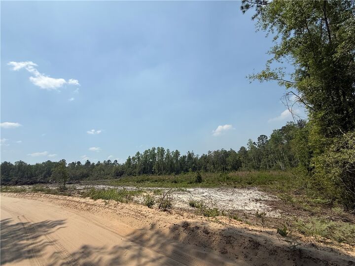 Property Photo:  0 Mineral Springs Road  GA 31566 