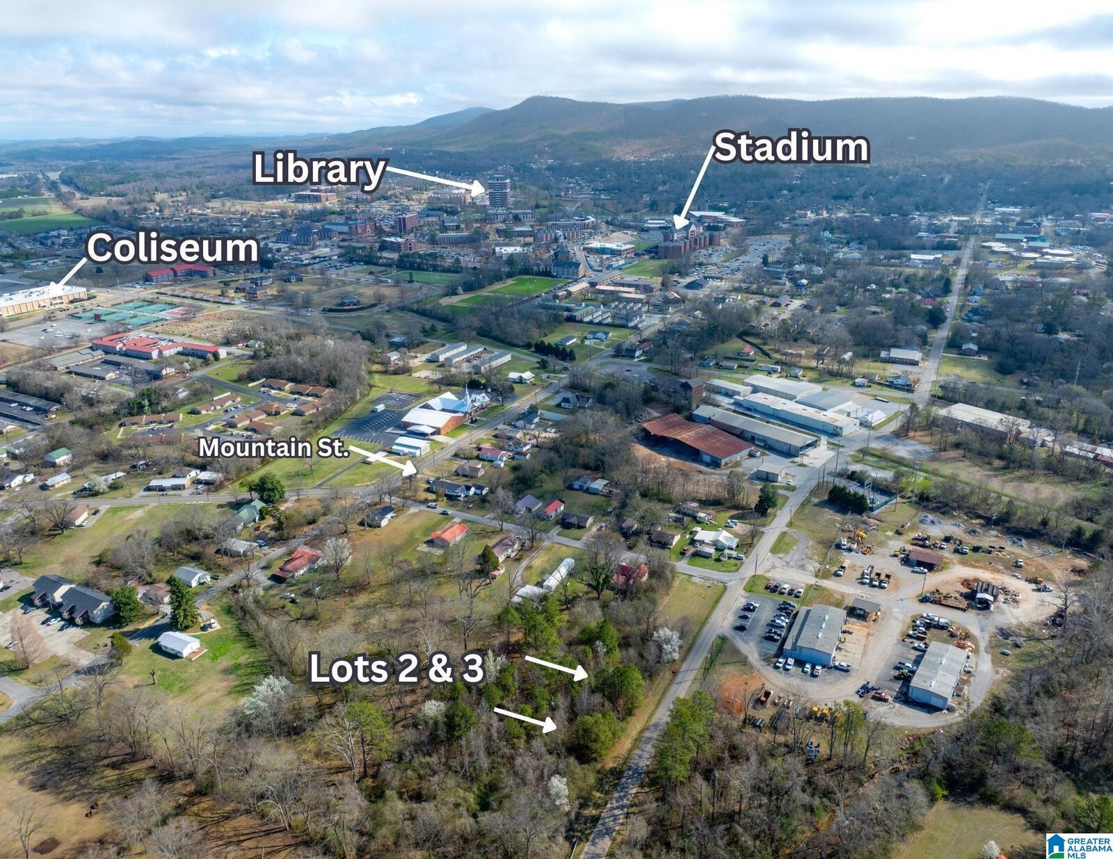 Property Photo: Lot 3 Francis Street 3 AL 36265