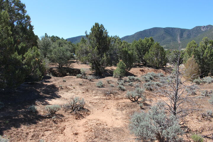 Property Photo:  17768 W Harmony Ln  UT 84720 