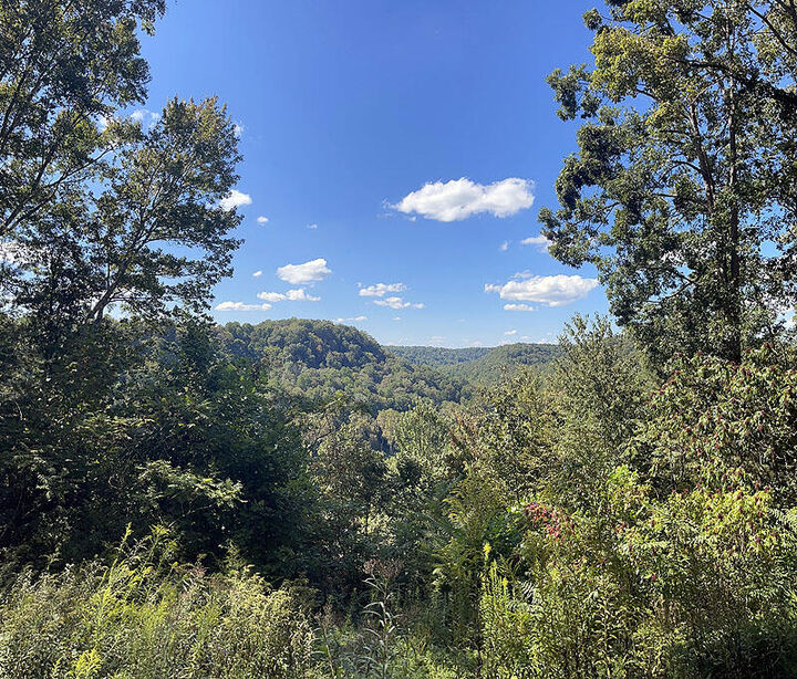 Property Photo: Lot 148 Stillwater KY 42642