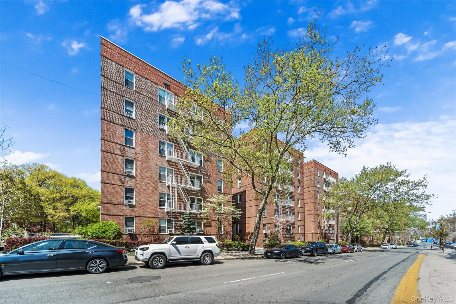Property Photo:  501 Riverdale 4C  NY 10705 