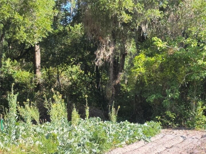 Property Photo:  00 County Road 213  FL 34785 