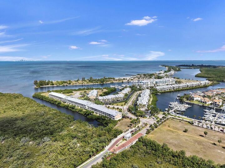 Property Photo:  3202 Mangrove Point Drive  FL 33570 