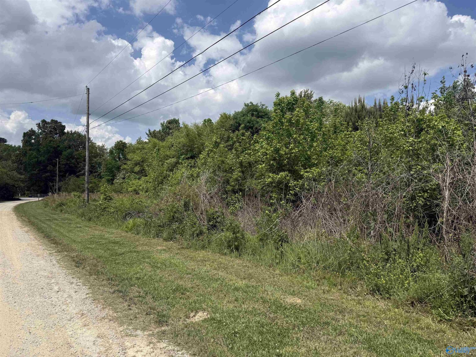 Property Photo:  Lot 15 Village Lane  AL 35901 
