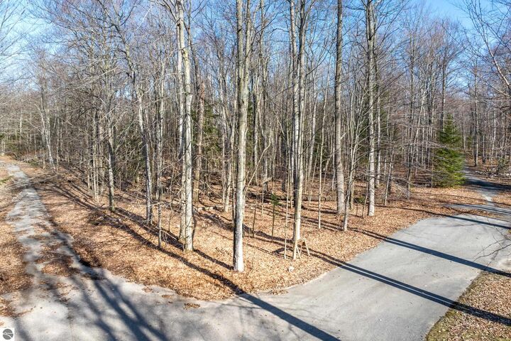 Property Photo:  #12 Aspen Trail  MI 49648 