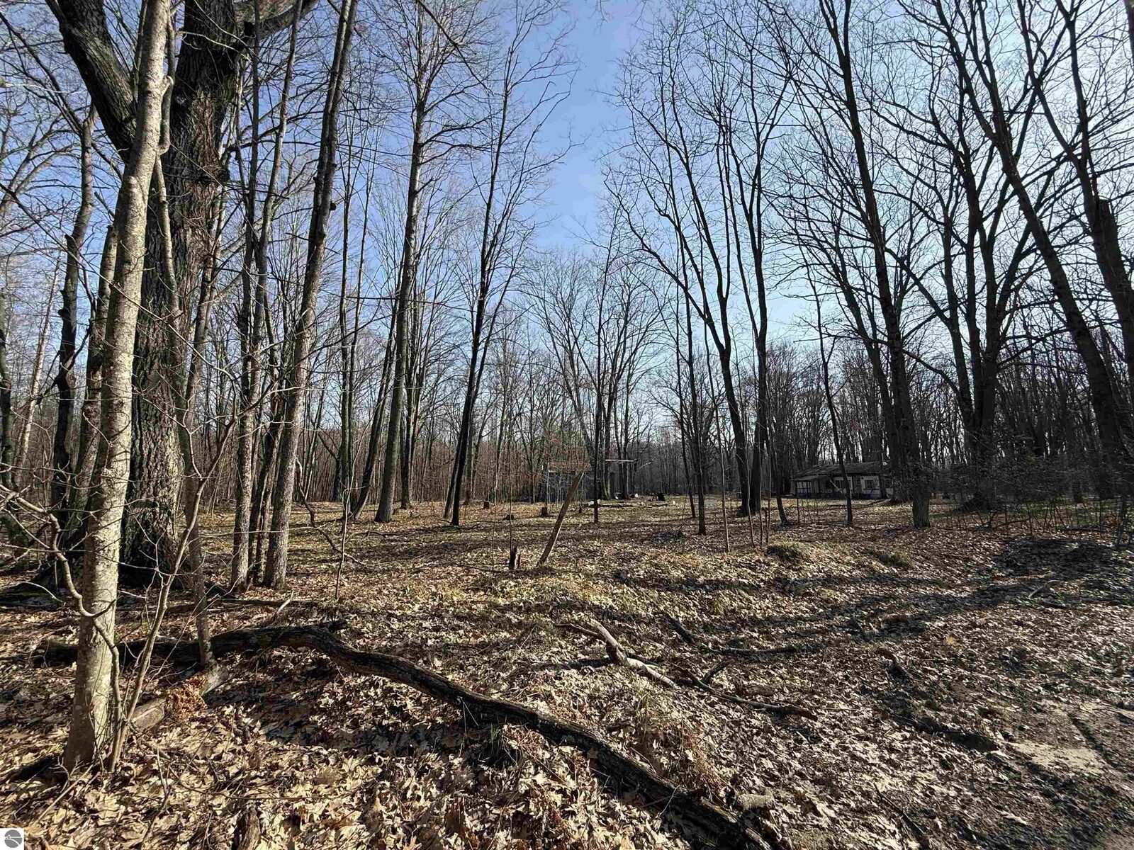 Property Photo:  11221 SE Behlke Road  MI 49633 
