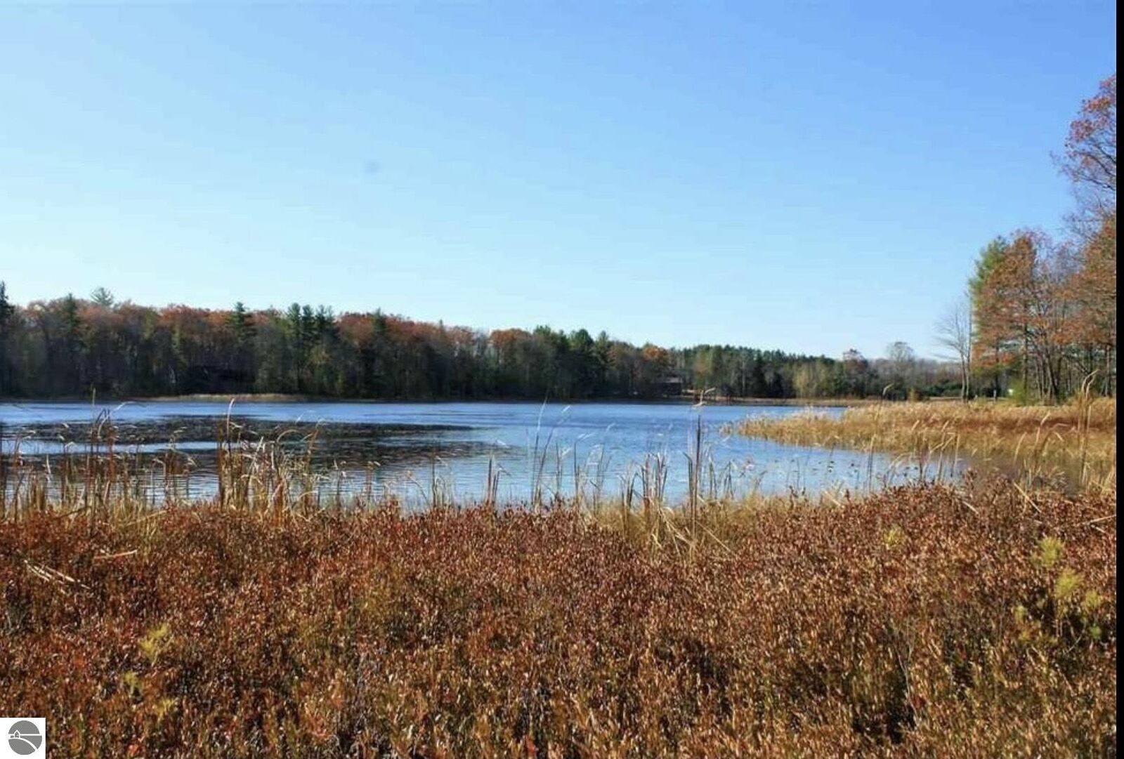 Property Photo:  312 Blue Heron Drive  MI 49646 