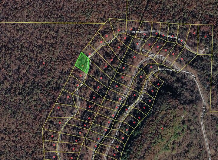 Property Photo:  Lot 82 Restore Ridge  AR 72601 