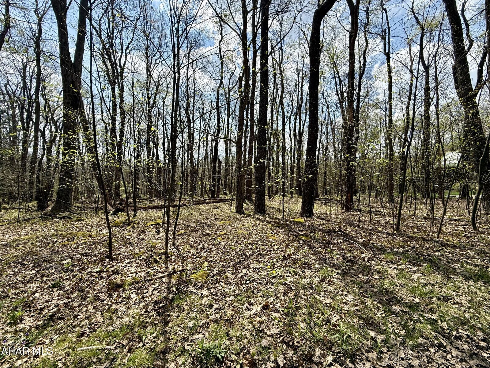 Property Photo:  Lot 13 Timerman Road  PA 16625 