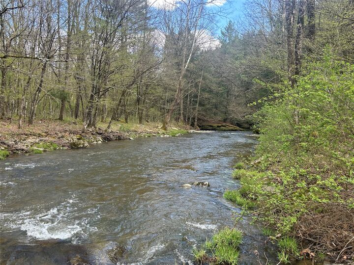 Property Photo:  848 Ouaquaga Road  NY 13865 