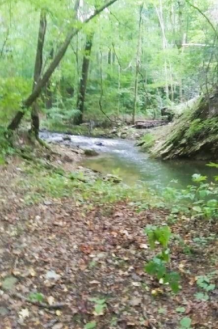 Property Photo:  0 Holly Creek Cool Springs Road  GA 30705 
