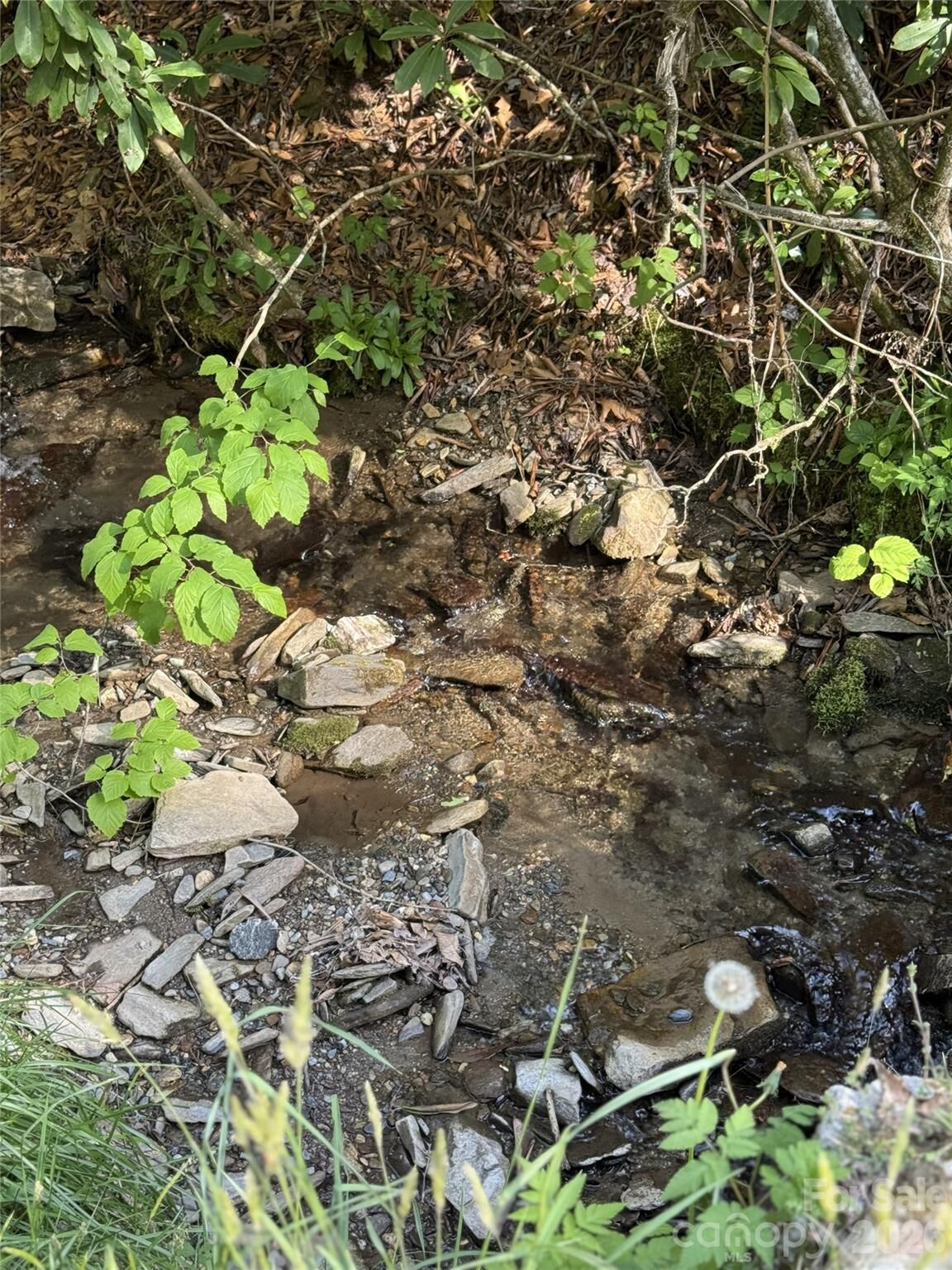 Property Photo:  000 Unahala Creek Drive  NC 28713 