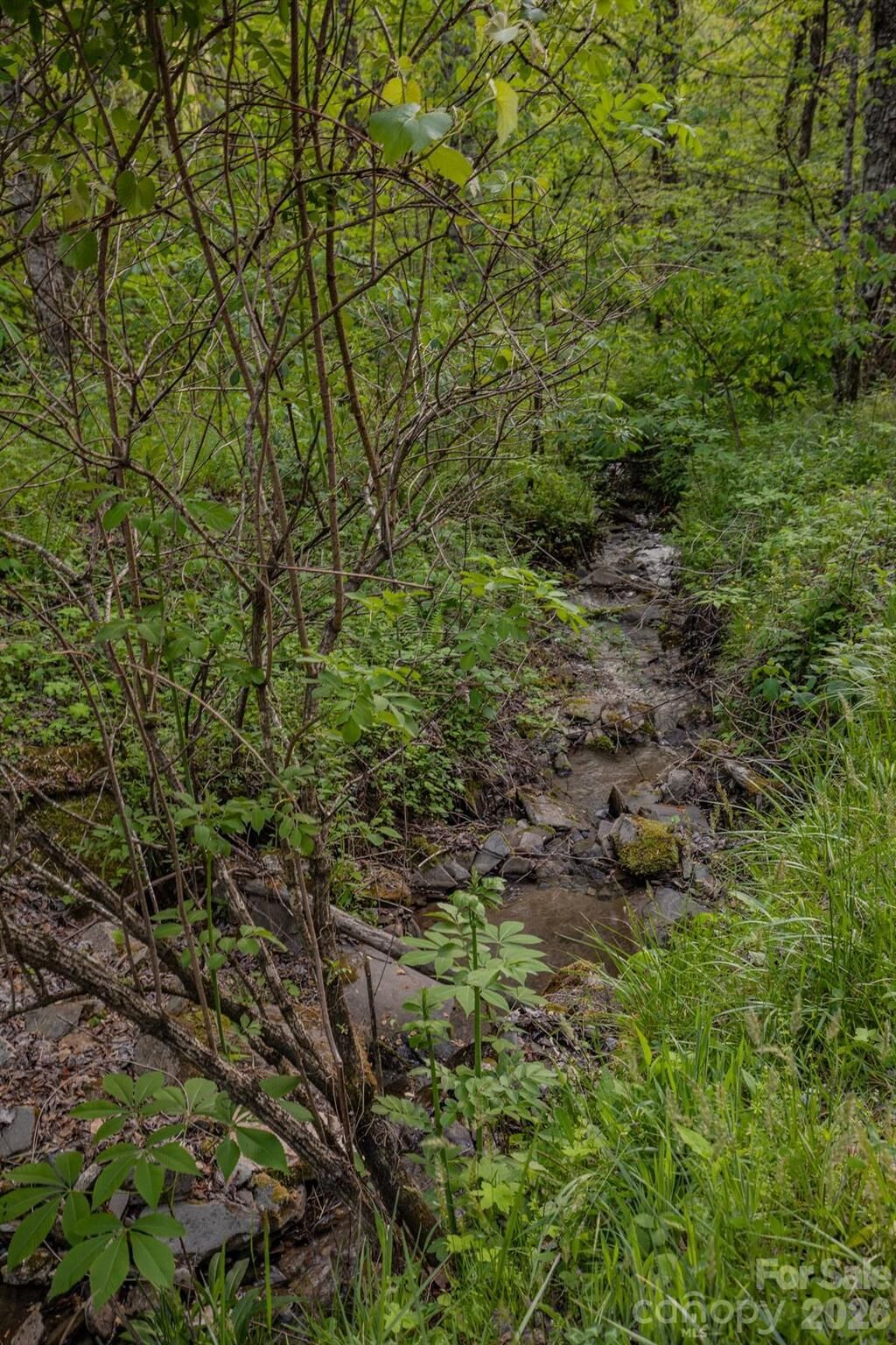 Property Photo:  000 Unahala Creek Drive  NC 28713 