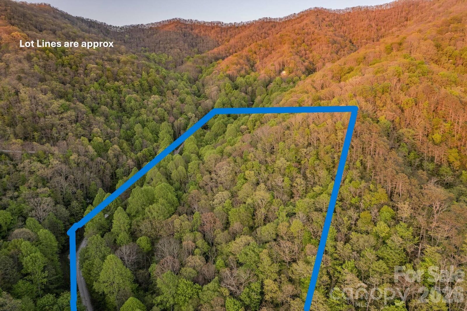 Property Photo: 000 Unahala Creek Drive NC 28713