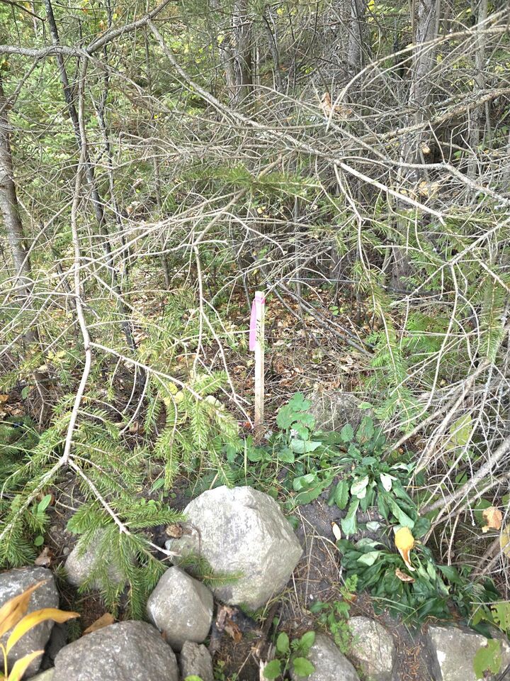 Property Photo:  Tbd W Portage St  MI 49781 