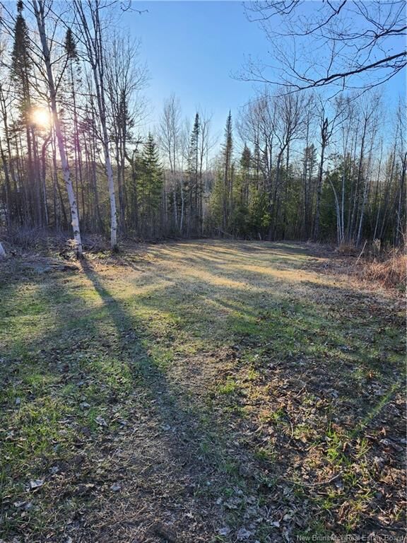 Lot 88-72 Willow Street — photo 1