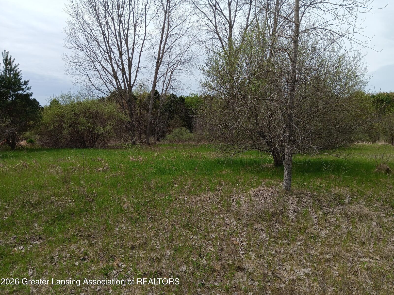 Property Photo:  39 Bennington Greens Drive  MI 48867 