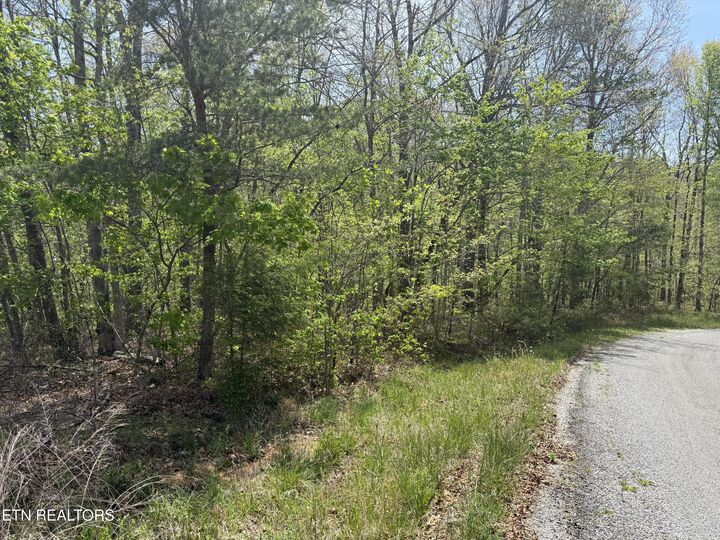 Property Photo:  0 T Rd  TN 38574 