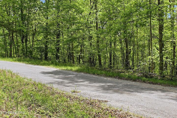 Property Photo:  0 T Rd  TN 38574 