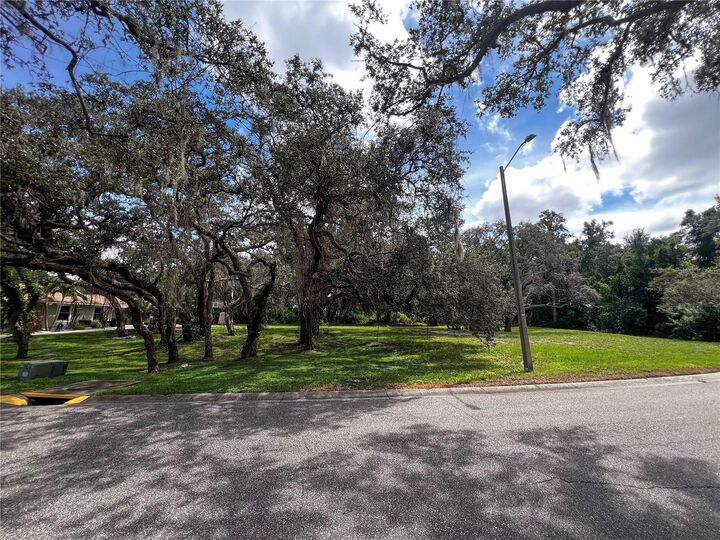 Property Photo:  0 Tampa Road  FL 34684 