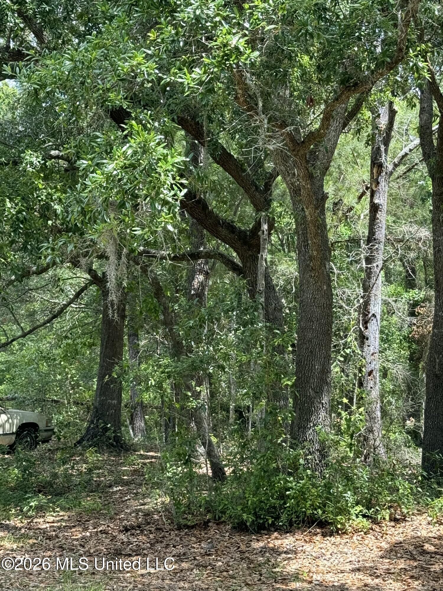 Property Photo:  0 Dicks Street  MS 39576 