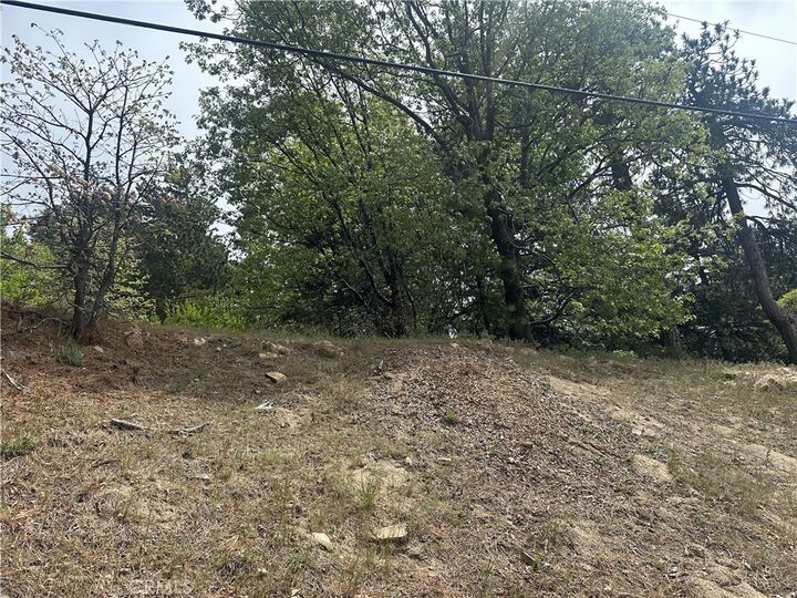 Property Photo:  0 Deer Lick Lane  CA 92382 