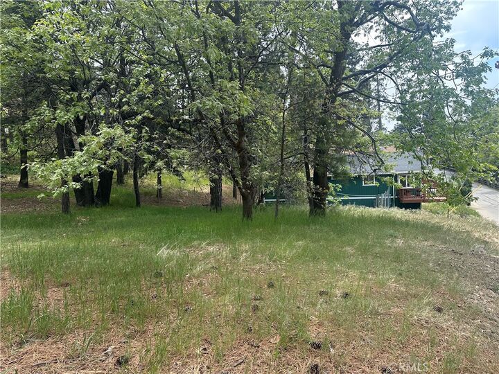 Property Photo:  0 Deer Lick Lane  CA 92382 