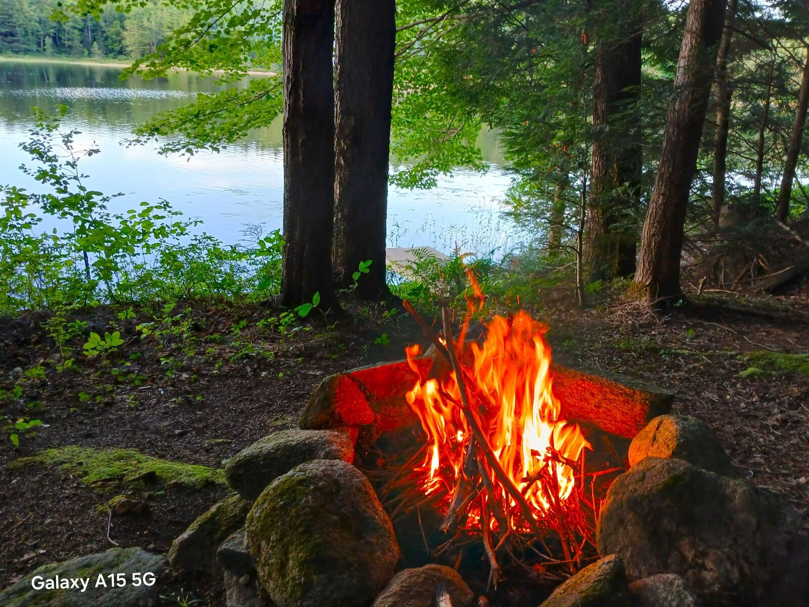 Property Photo:  Tall Timber Drive  NH 03753 