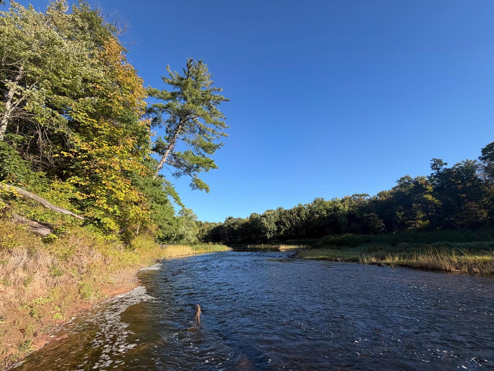 Property Photo:  Tbd Riverview Place  MN 56465 