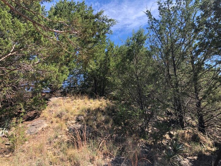 Property Photo:  1408 Robyn Road  TX 76020 