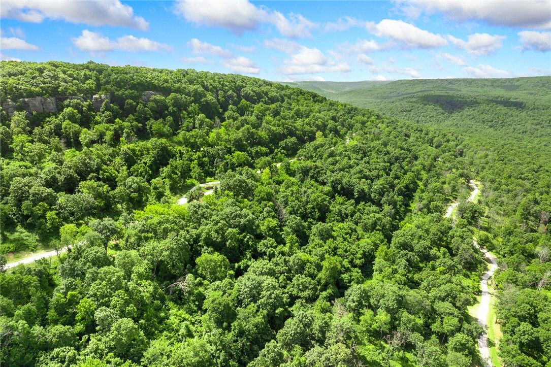 Property Photo:  Lot 9 Peaceful Place  AR 72601 