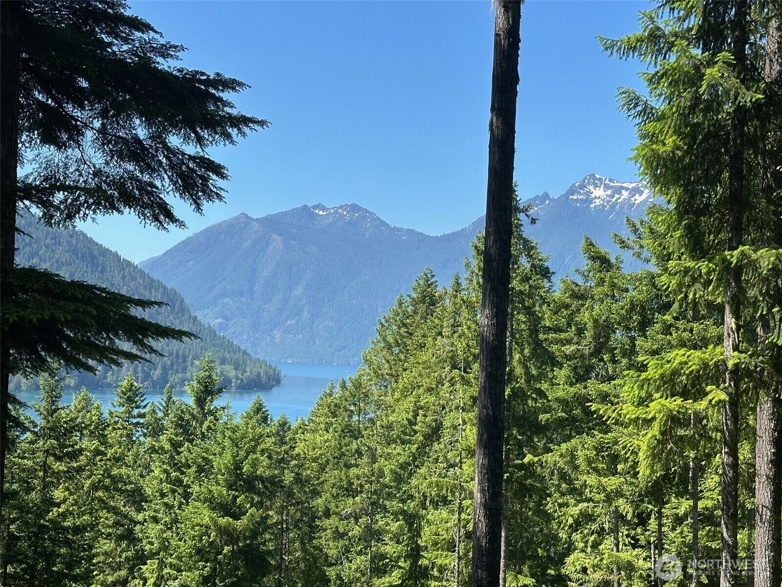 Property Photo:  5156 N Lake Cushman Road  WA 98548 