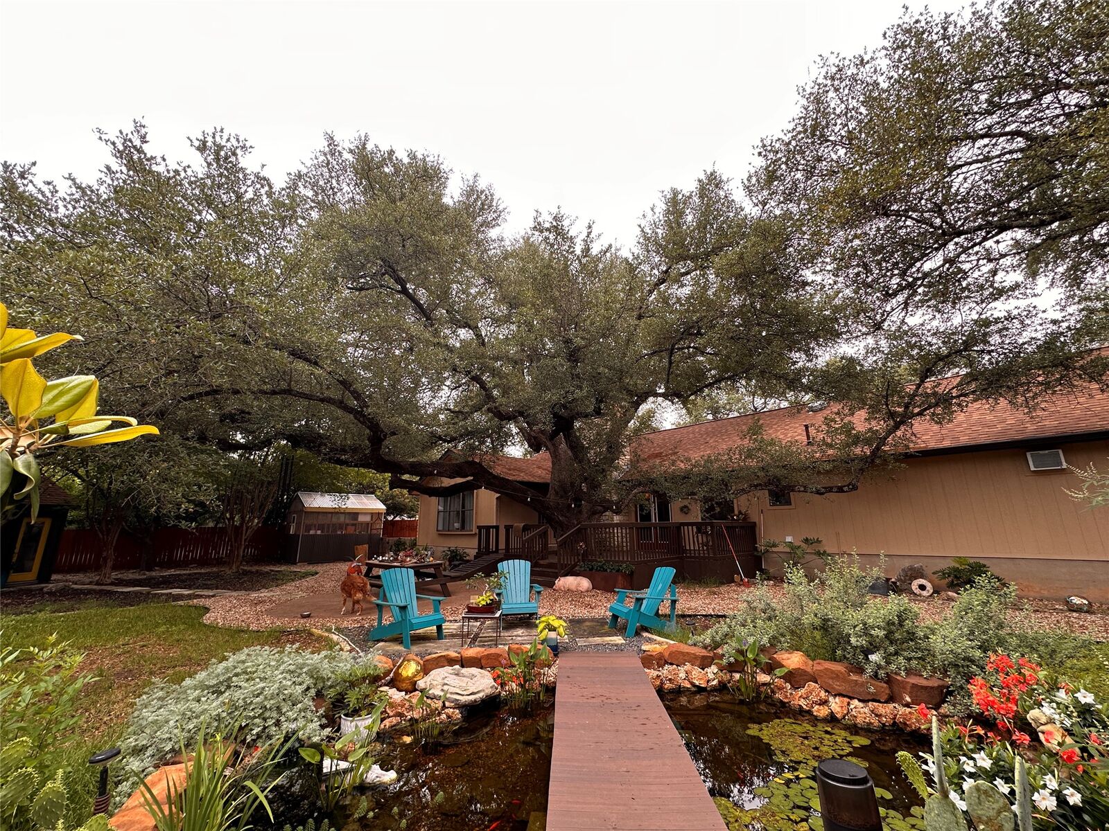 Property Photo:  800 Prize Oaks Drive  TX 78613 