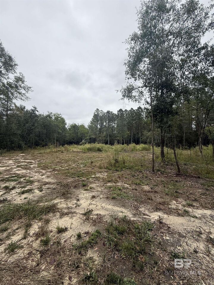 Property Photo:  36636 Legacy Way  AL 36507 
